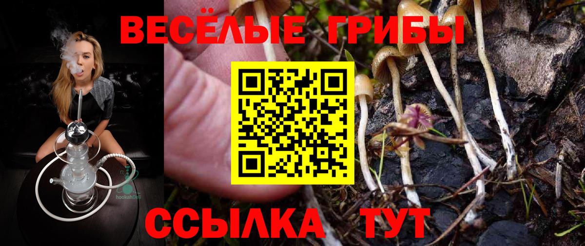 купить  сайты  Галлюциногенные грибы мухоморы  Вход с VPN  Назрань 